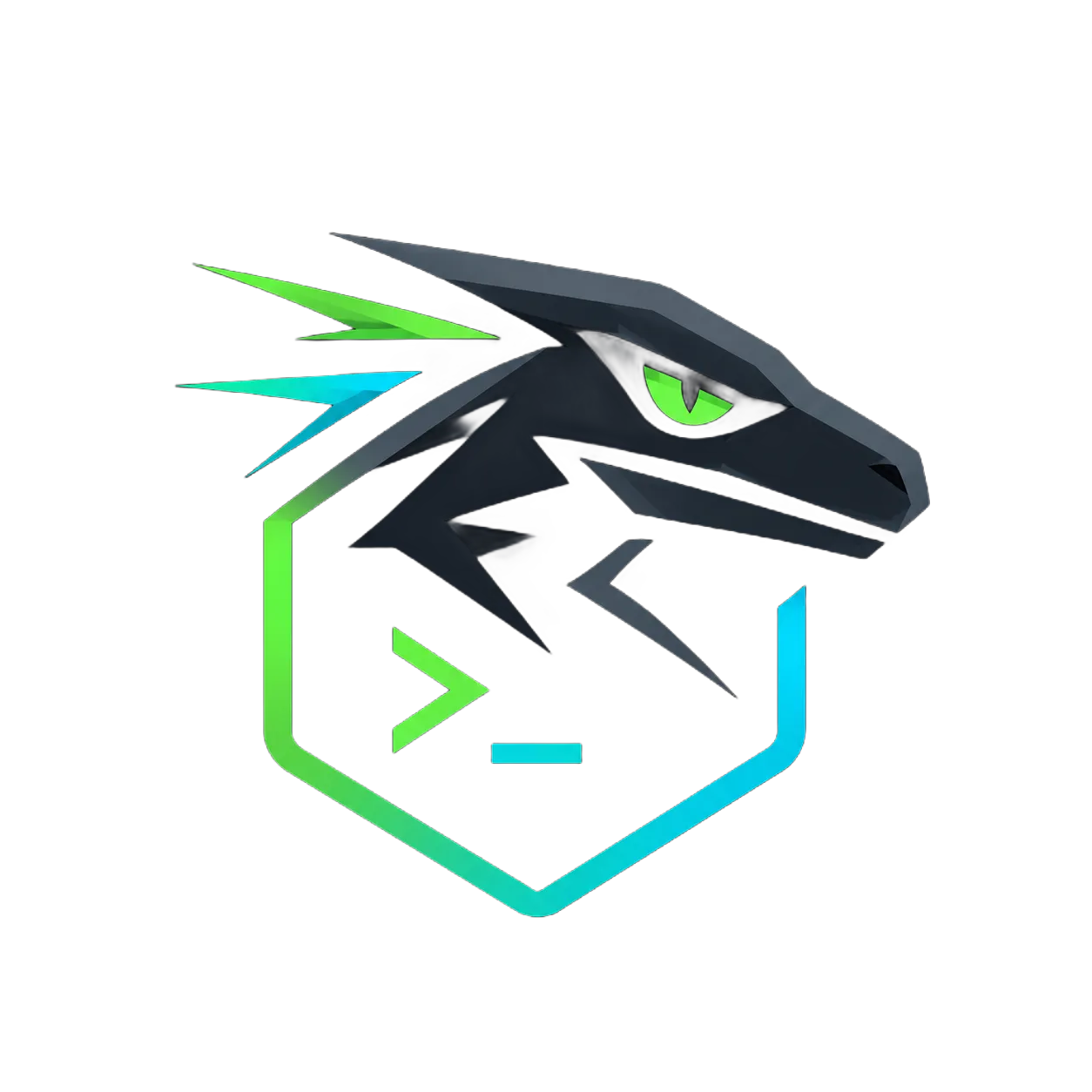 SSH Raptor